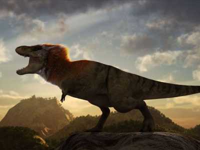 Il tirannosauro, il pi� noto tra i teropodi, in una recente ricostruzione (con le piume)